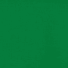 A solid Kelly-green color fabric — buy premium apparel fabric online in the United States at BeautifulWindowsElgin.com