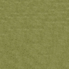 Ceveat Celery Green—Upholstery Fabric—100% Cotton—Multi-Purpose —Sold by The Yard— 52" Inches Wide