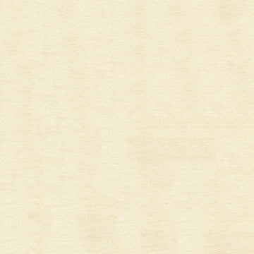 Classic Velvet Solid Ivory— 65% Polyester 35% Cotton—Woven Backing—54" Inches Wide—Sold by the Yard