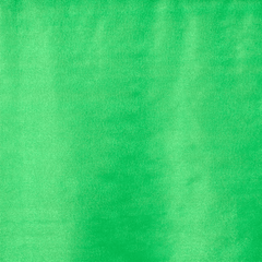 Kelly green crystal organza fabric | sold by BeautifulWindowsElgin.com