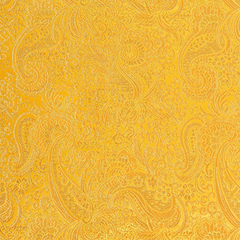 Riverside Woven Plain—Gold and Gold Hue—Paisley Brocade Fabric