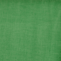 Solid green color swatch with a textured pattern| Sold by Beautiful Windows Elgin