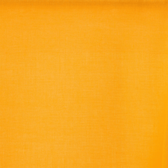 Solid orange color swatch
