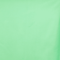Solid light green color | Sold by beautifulwindowselgin.com