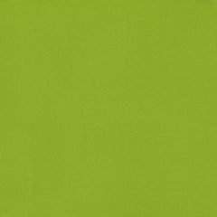 Traffic light green outdoor fabric with a slight texture, used for upholstery purposes| Sold by BeautifulWindowsElgin.com