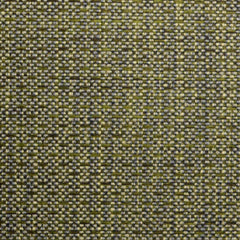 Superior Basil Green Home Decor Fabric | 100% Poly by the Yard