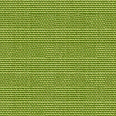 Beautiful Windows Elgin— Certeza Green—Home Decorative Fabric—95% Polyester 5% Linen—Sold by The Yard