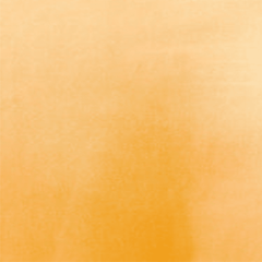 Nicole Felicia Charmeuse Satin Dark Gold| Formal Apparel Fabric