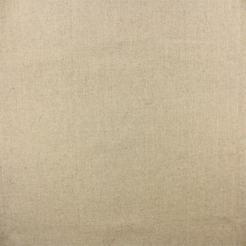 FOSSIL CURTAIN PANEL