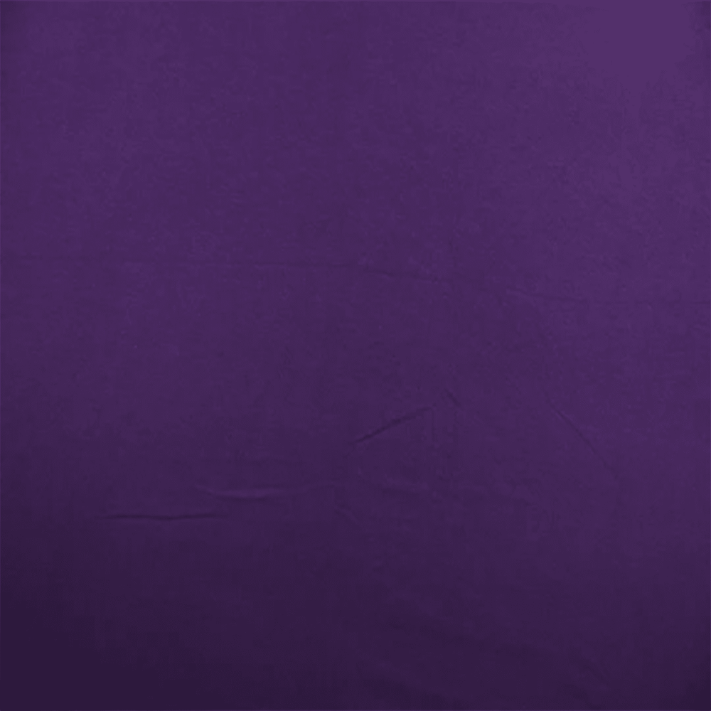 Solid Purple Pinch Pleated Curtain Panel—5" Inches Header