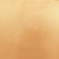 Charmeuse Silk Mist Gold – 100% Poly, | Apparel Fabric by Yard