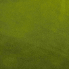 Casablanca emerald, green velvet upholstery| Beautiful Windows Elgin