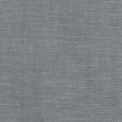 DEVON SILVER CURTAIN PANEL