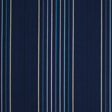 VICTORIA BECHAM STRIPE IN ENVY