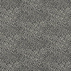 Dotify Fabric—Durable—95% Polyester 5% Cotton- Beautiful Windows Elgin