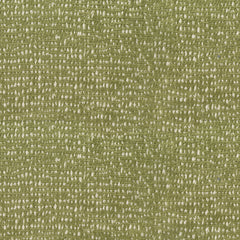 Asher Cactus Green—High-Quality Multi-Purpose Upholstery Fabric—100% Polyester—Sold by the Yard—54" Inches Wide