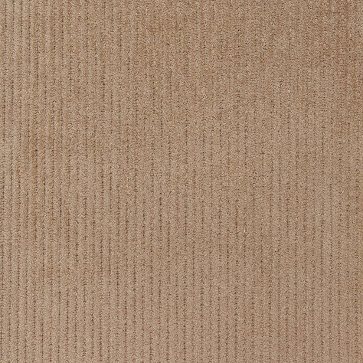 Dune Drift Sand—Standard Corduroy Material—100% Cotton—59-60"Inch Wide—Sold by the Yard