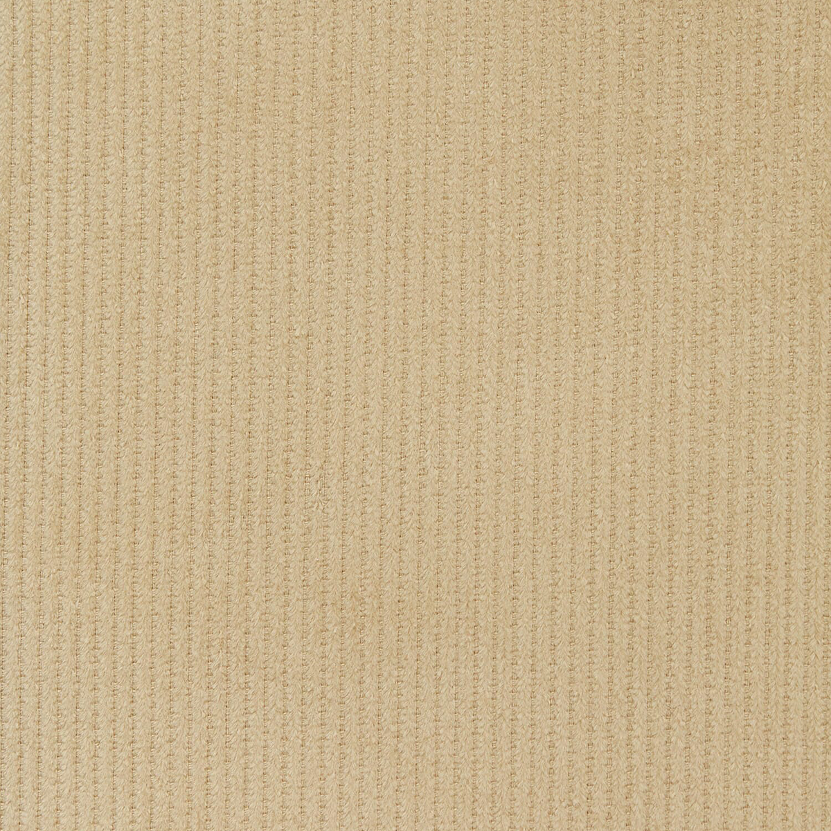 Corduroy by the Yard |Apparel & Décor Fabric|100% Cotton Fabric| Sold by the Yard