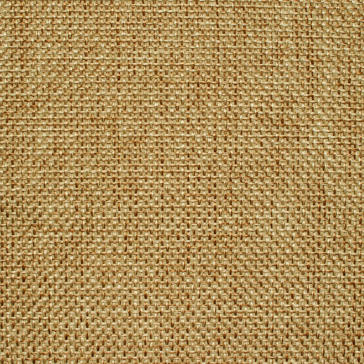 High Quality—Inlay Woven—Sand Color Fabric—Sold by the Yard—Width 60"Inch Wide