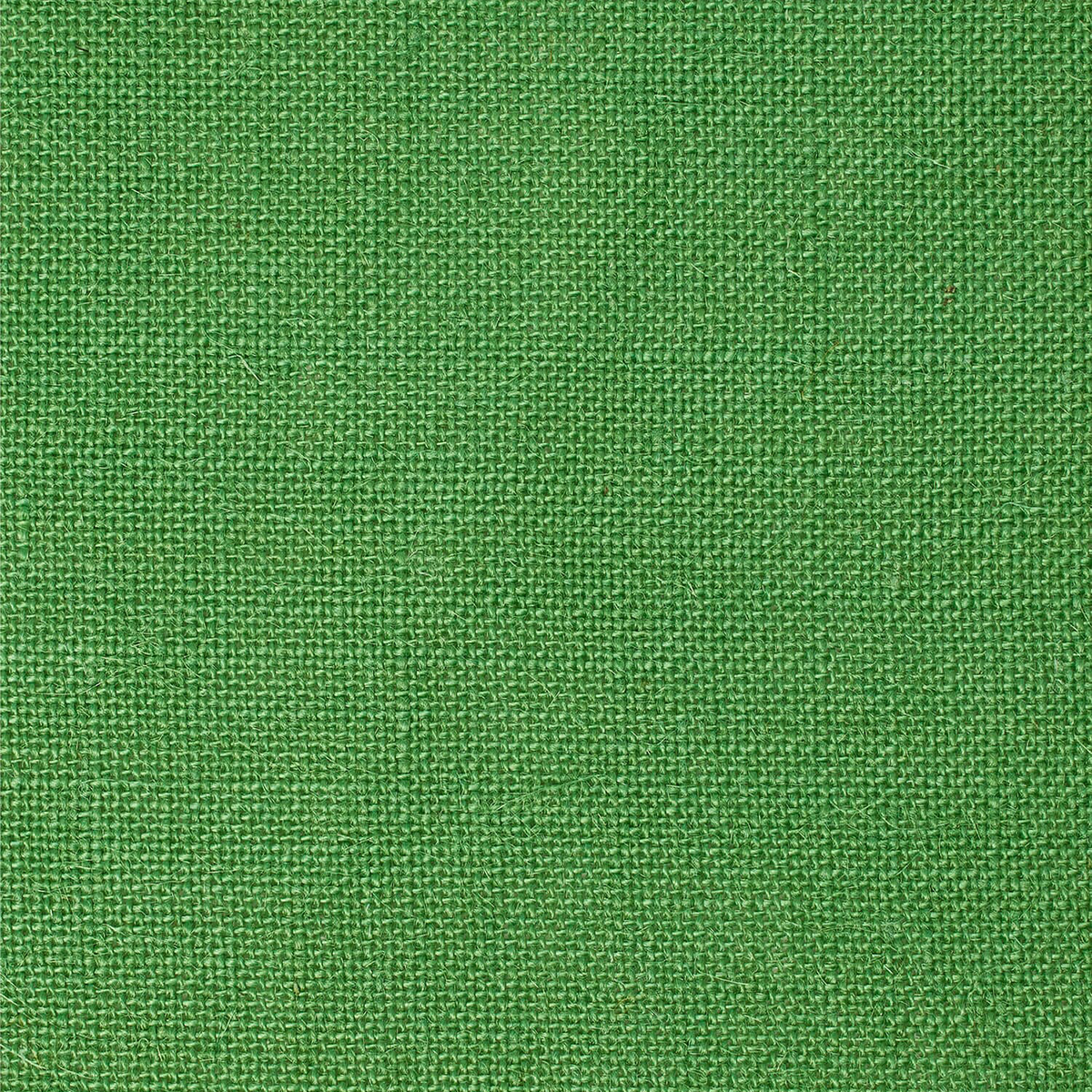 Nationally Loved—Sunflower Yellow Color—Standard Jute Burlap—Sustainable—Columbia SC—60" Inch Wide—Fast USA Shipping