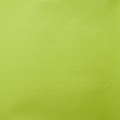 Eco-friendly—Lime Green—Waterproof Canvas Fabric—100% Polyester- 100% Polyvinyl Backing—60/61 Inches Wide