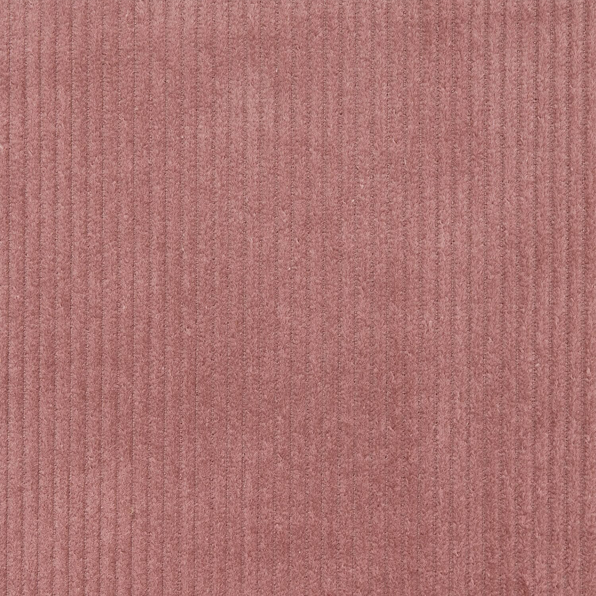 Woodrose Mauve—Standard Corduroy Material—0.75 Millimeters Thick—100% Cotton—59-60"Inch Wide—15.3 Ounces—Sold by the Yard