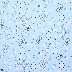 Shop Printed Wide Cotton Paisley Fabric—Baby Blue Color—100% Cotton