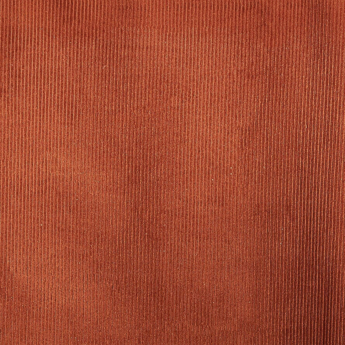 CORDUROY STANDARD WALE ELEVEN IN RUST HUE COLOR