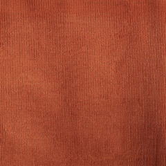 Standard rust corduroy close-up