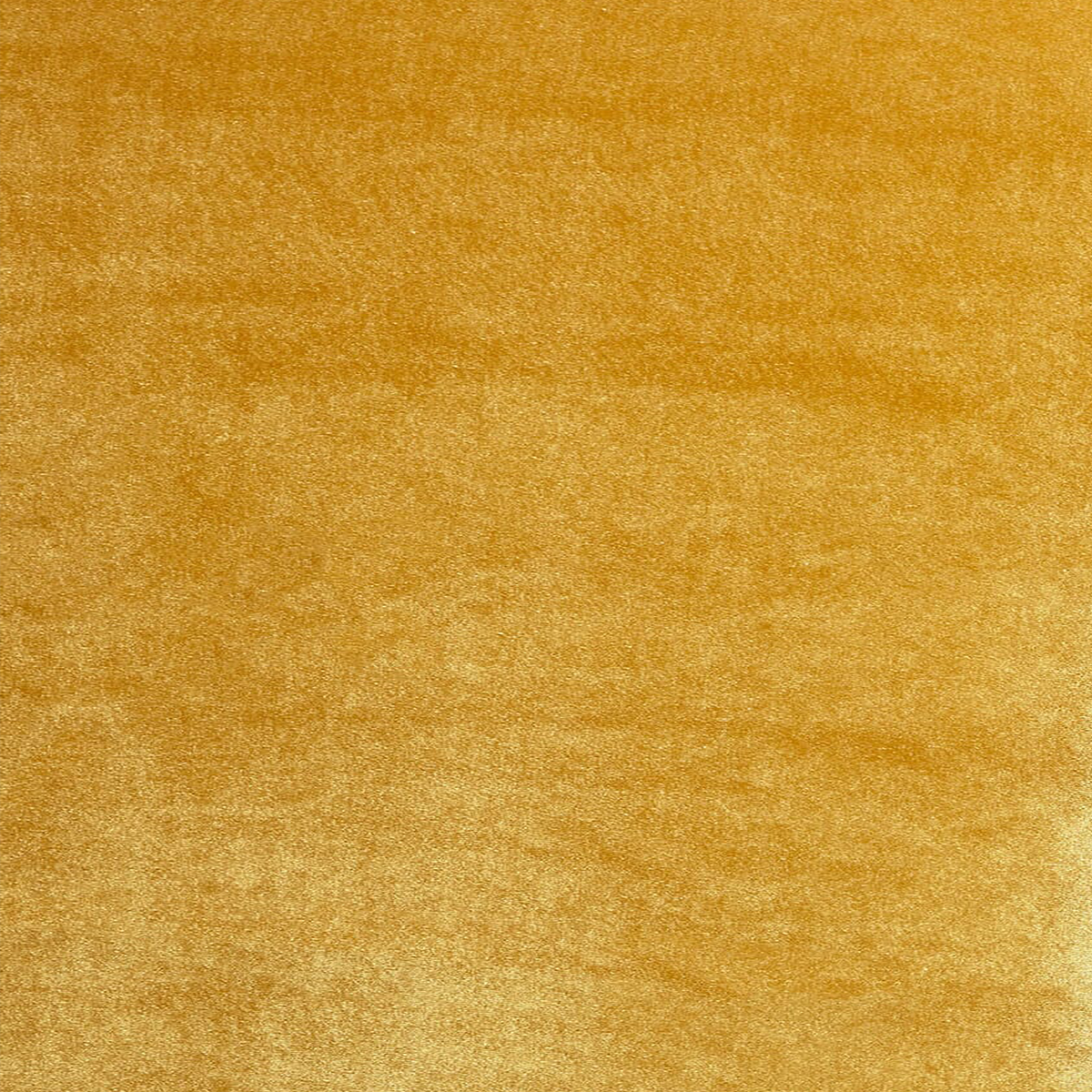 Gold velvet fabric 90% polyester 10% spandex-sold by Beautiful Windows Elgin