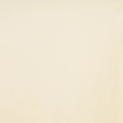 Classic Sand Beige-100% Cotton Broadcloth—High-Quality—Multi-Purpose—Sold by The Yard—Nationwide Shipping