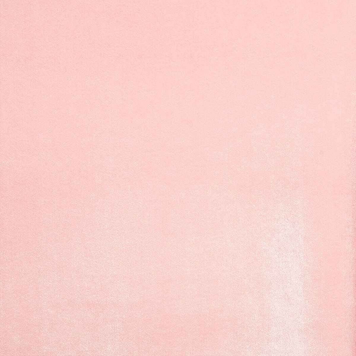  Blush pink bloom stretches velvet fabric—Beautiful Windows Elgin