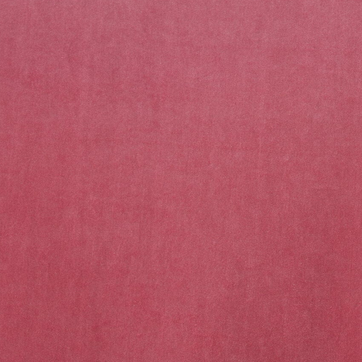Solid pink color swatch with a textured pattern| Shop online at BeautifulWindowsElgin.com  