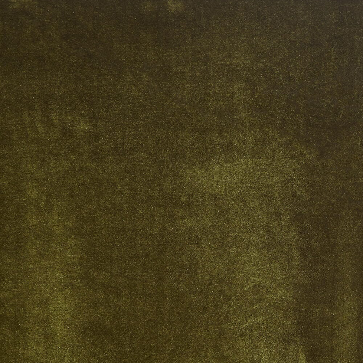 Verdant Plush Oliver—Stretch Velvet Fabric—Sold by the Yard