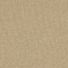 BUILTMORE HOUSE SAVOIE CURTAINS & DRAPES