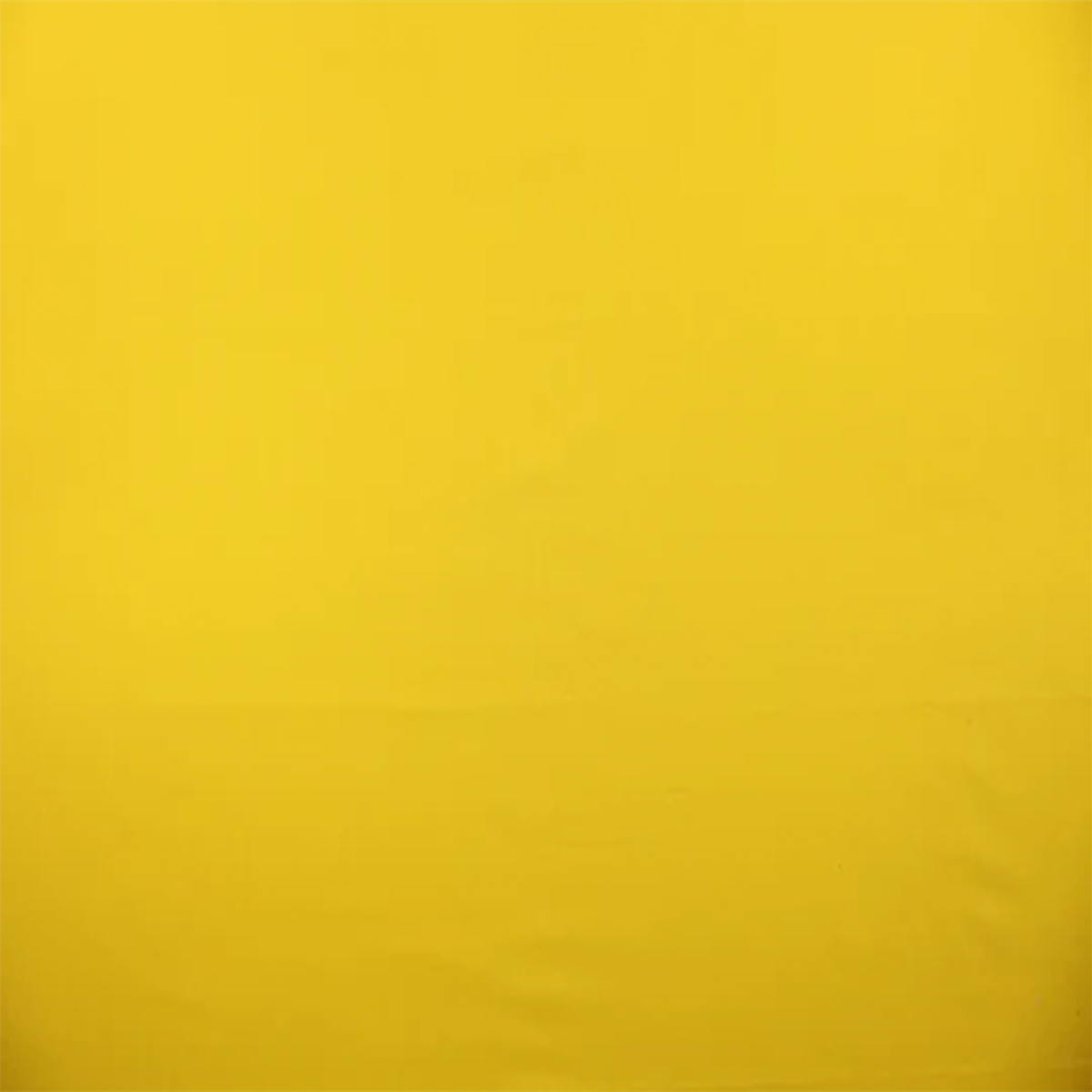 PALERA ‘LEH SATVIK’ CURTAIN PANEL (YELLOW)