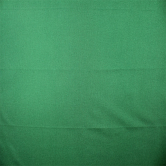 RUDHIRA CURTAIN & DRAPERY PANELS