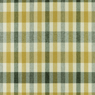 BIBI SHREWSBURY MULTI-PURPOSE PLAID FABRIC