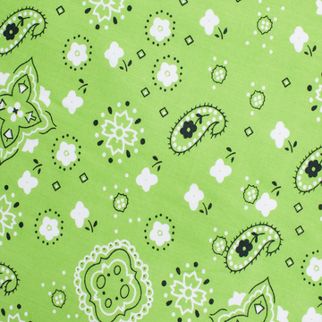 LEMAN PAISLEY PRINT BANDANA BROADCLOTH MATERIAL
