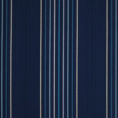 VICTORIA BECHAM STRIPE IN ENVY