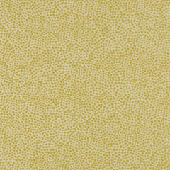 Jacqui Dot—High-Quality Multi-Purpose Fabric—100% Polyester—Sold by the Yard—54" Inches Wides