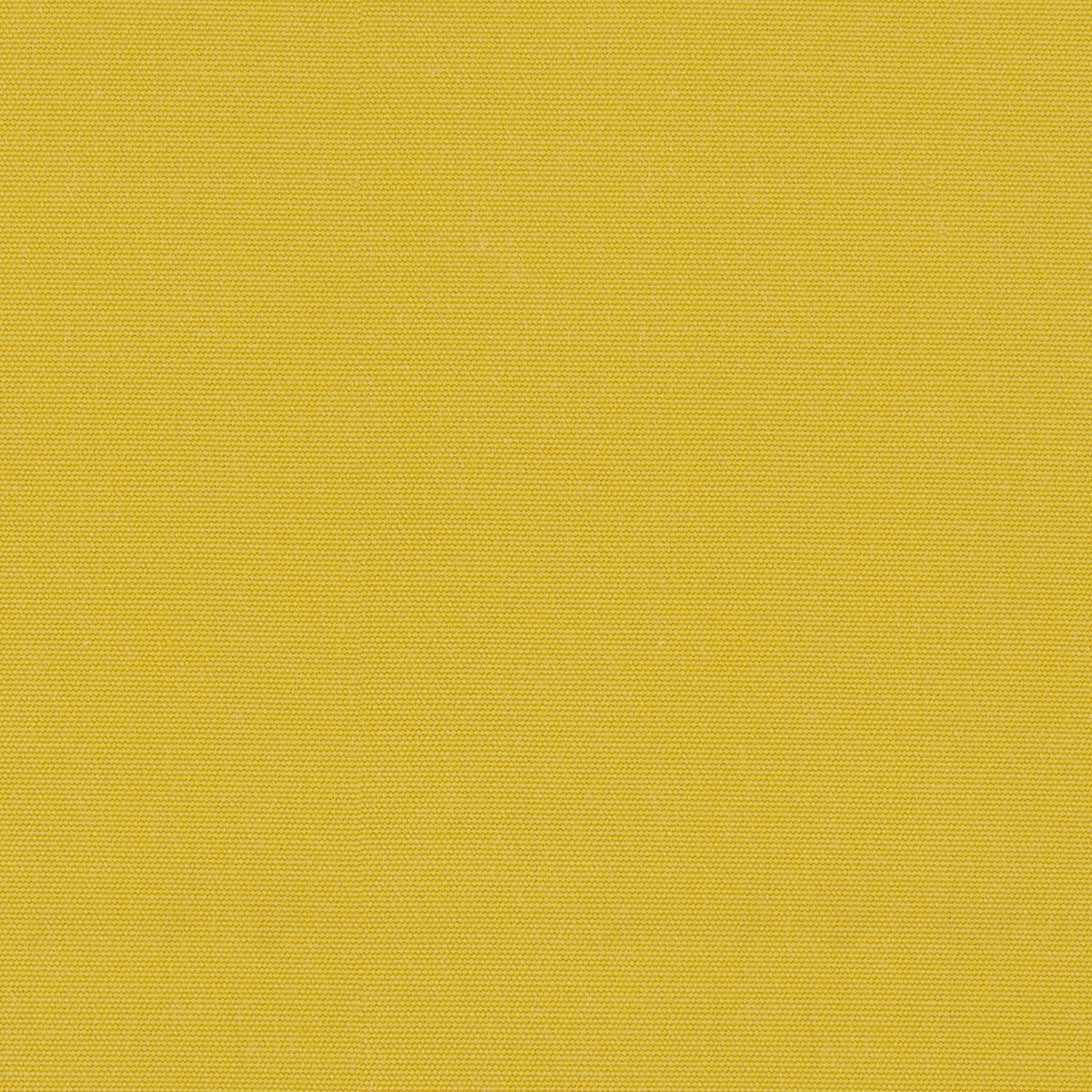 A swatch of solid pattern mussold by mustard yellow home decor fabric | sold by Beautiful Windows Elgin