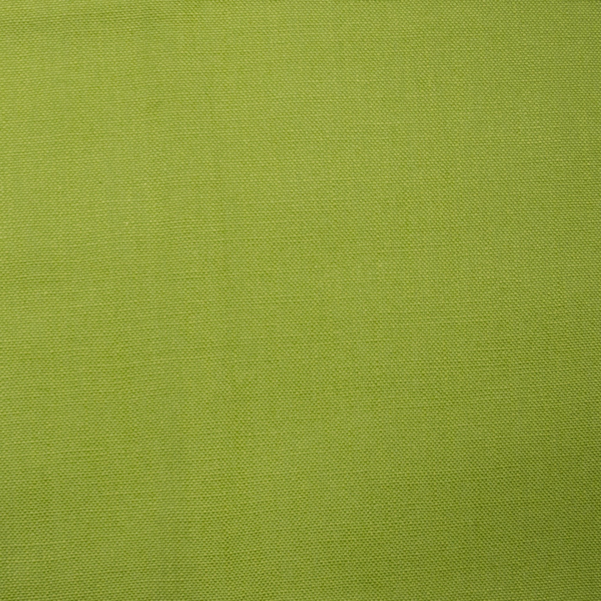 FOREST’CURTAIN PANEL