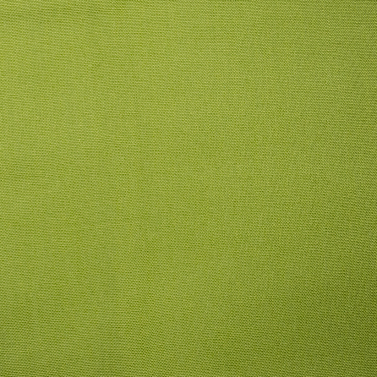 FOREST’CURTAIN PANEL